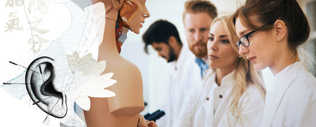Fotocollage zur Ausbildung, Studierende mit Modell des menschlichen Körpers