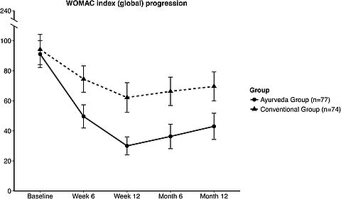 Diagramm der Ergebnisse: WOMAC Index, beide Behandlungen wirksam, die Ayurveda-Behandlung deutlicher, auch 9 Monate nach der aktiven Behandlung noch andauernde Beschwerdereduktion 